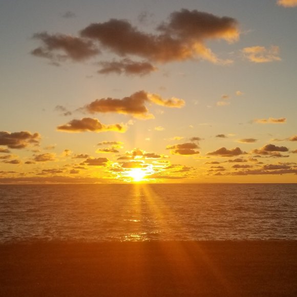 Meet your Posher, B - Picture 1 of 1